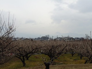 ふじさ～ん！