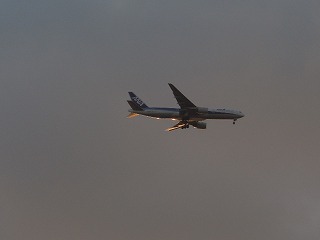 ANA