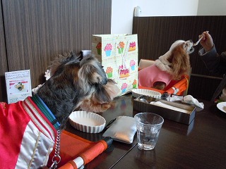 ぼくもほしい