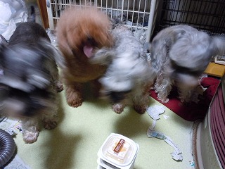 興奮！