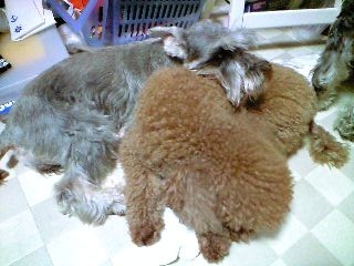 080126_2128~0001.jpg