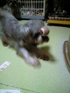 ヘディングか！