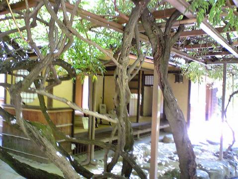 庚申庵（藤の木）