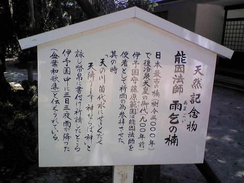 雨乞の楠（説明書き）