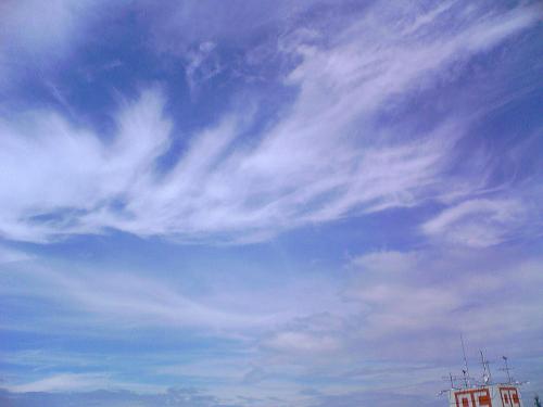 雲