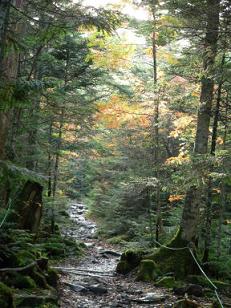 白駒池より高見石へ