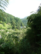 神社から見える山.jpg