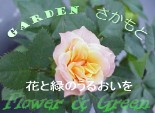 Flower＆Green GARDENさかもと