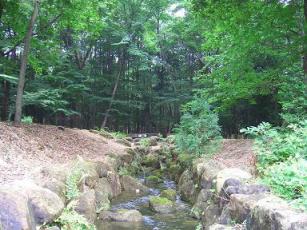 健康の森・小川