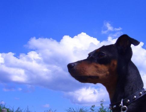 秋の青空