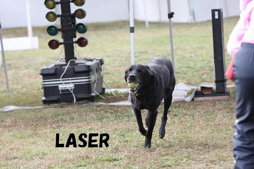 LASER