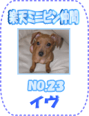 ミニピン仲間イヴＮＯ．２３