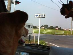 車の中だよーん