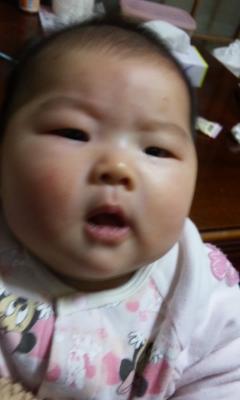 画像20110301 044.jpg