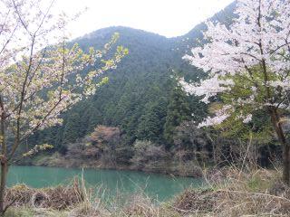 蕨の宝庫から---パチリ