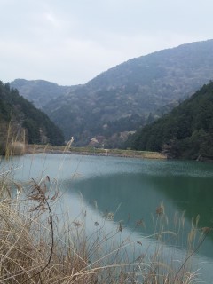 豊稔ダムの上流