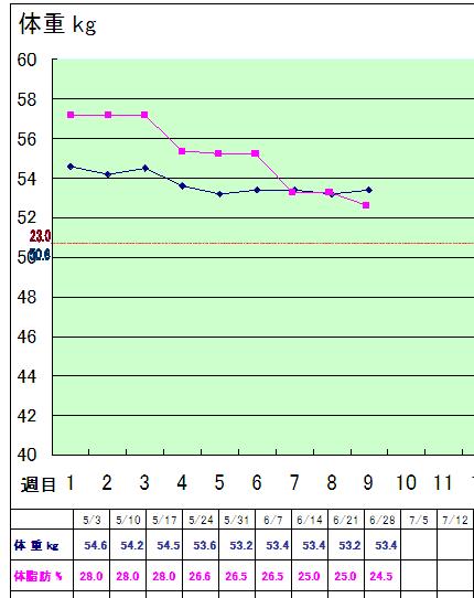 ダイエットグラフ１.JPG