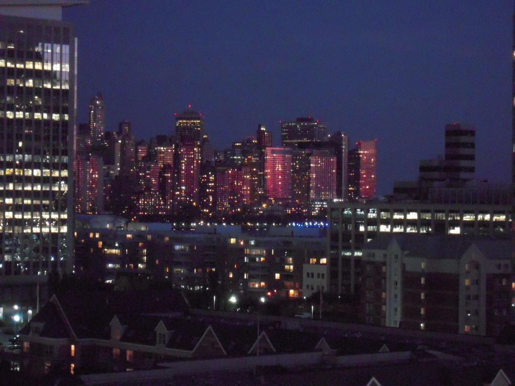 Manhattan View 2