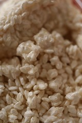 お米にコージが植えつけられている