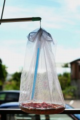 IMG_8275.jpg
