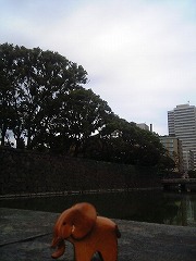 江戸時代に思いを馳せる.jpg