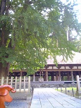 V6010028.jpg