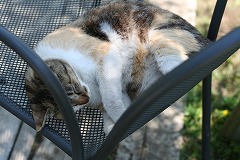 IMG_8019.jpg