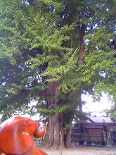 V6010030.jpg