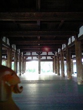 V6010035.jpg