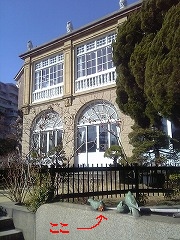 みつゾウ鳩とたわむる