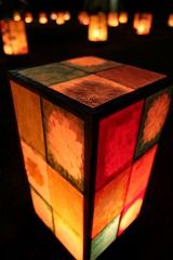 IMG_1527.jpg