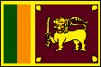 flag_0303