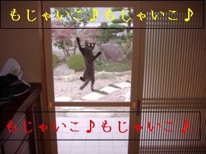 コピー ～ PA080785.JPG