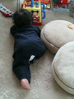 ハイハイしそう？