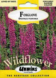 フォックスグローブ