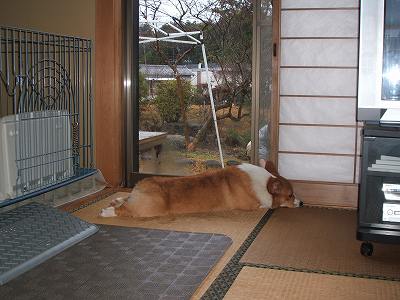 はじめ2月 166.jpg