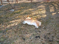 はじめ１２月 101.jpg