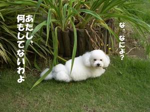 IMGP5628.JPG
