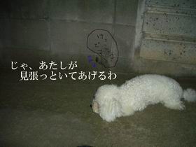 IMGP5990　2.jpg