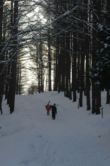 上りがしんどい。