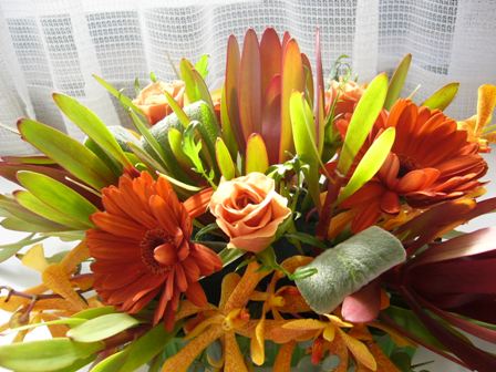 ホリゾンタル　アップ　加納さん