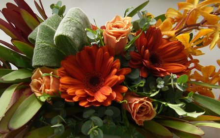 ホリゾンタル　アップ　砂川さん