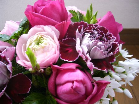 マリティム・ラナンキュラス・カーネ（ミネルバ）