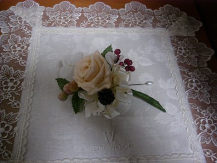 プリザブトニア　１