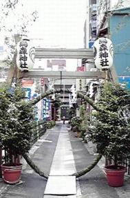 H22夏越大祓茅の輪(参道)１