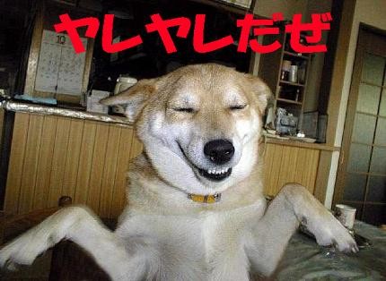 やれやれ