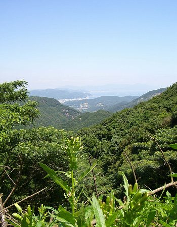 柏原山