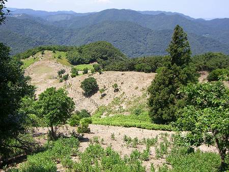 柏原