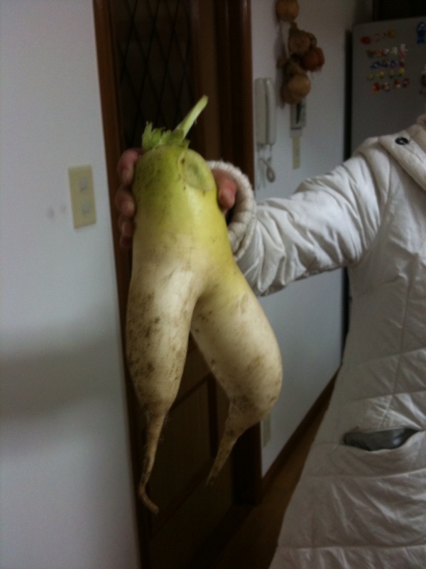 大根足.jpg