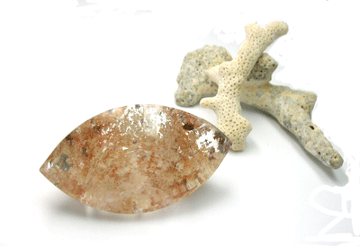 珊瑚と夏水晶